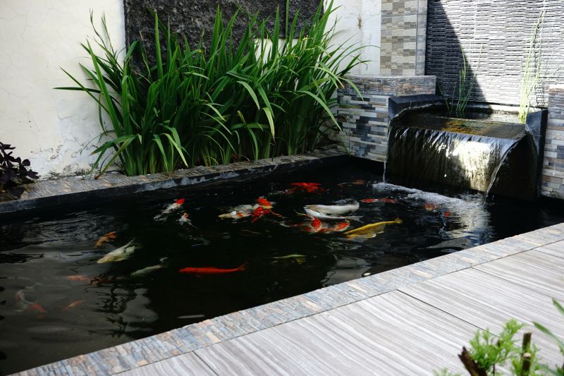 Pond Cleaning Service