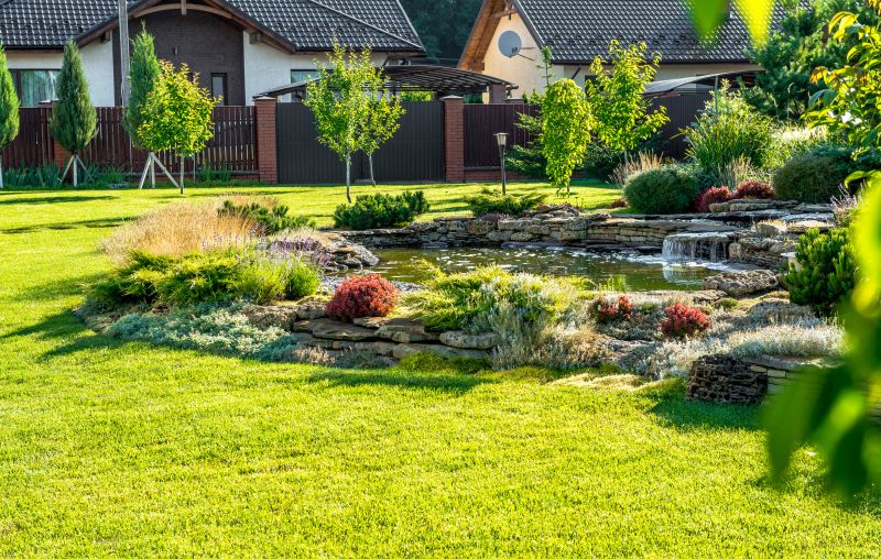 Pond Cleaning