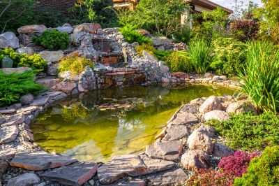 Cost of Pond Cleaning — Cost of Pond Cleaning