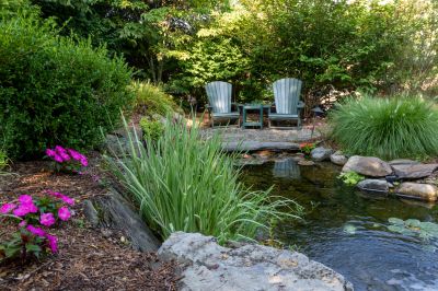 Cost of Pond Cleaning — Cost of Pond Cleaning