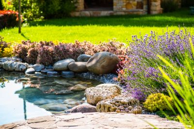 Garden Pond Installation in Honolulu, HI