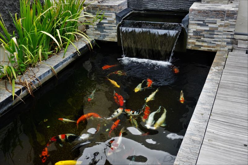 Koi Pond Installation in Honolulu, HI