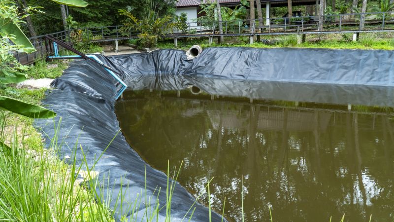 Pond Cleaning