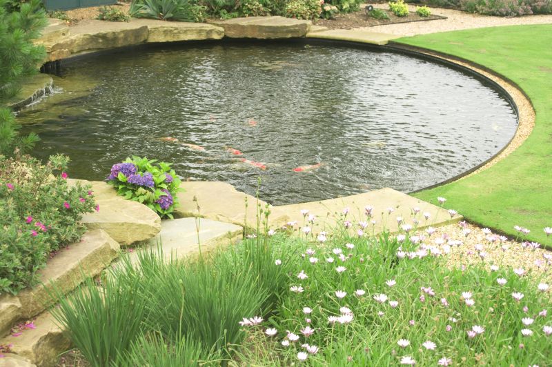 Pond Construction in Ventura County, CA